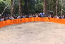 បណ្ដាញសហគមន៍ព្រៃឡង់គ្រោងធ្វើបុណ្យបំបួសដើមឈើ