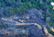 ចលនាមាតាធម្មជាតិថា ទីលានចាក់សំរាមក្នុងដែនជម្រកសត្វព្រៃពាមក្រសោបមានផ្ទៃដីធំជាងមុន