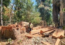 សកម្មជន និងសហគមន៍រកឃើញបទល្មើសព្រៃឈើរាប់រយករណីក្នុងដែនជម្រកសត្វព្រៃព្រះរកា ខេត្តព្រះវិហារ