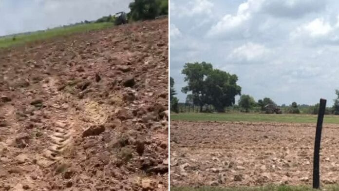 វៀតណាម ភ្ជួរដីខ្មែរ